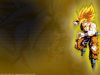 dbz-27.jpg