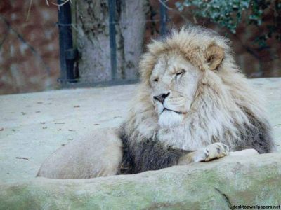 براي نمايش بزرگترين اندازه كليك كنيد